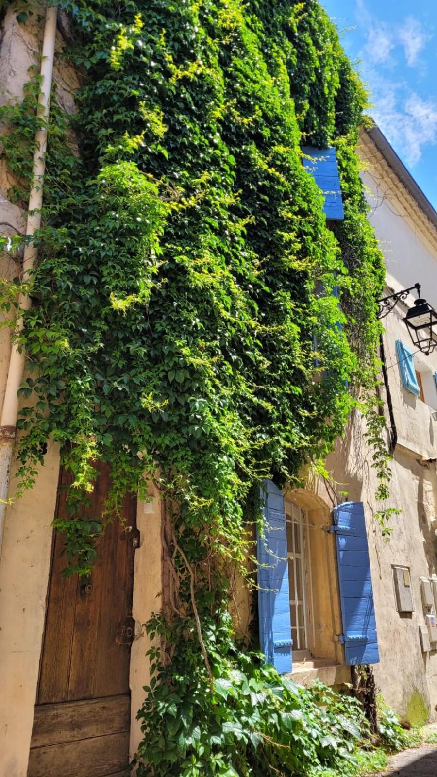 La Confidentielle Centre Ville Arles Terrasse מראה חיצוני תמונה